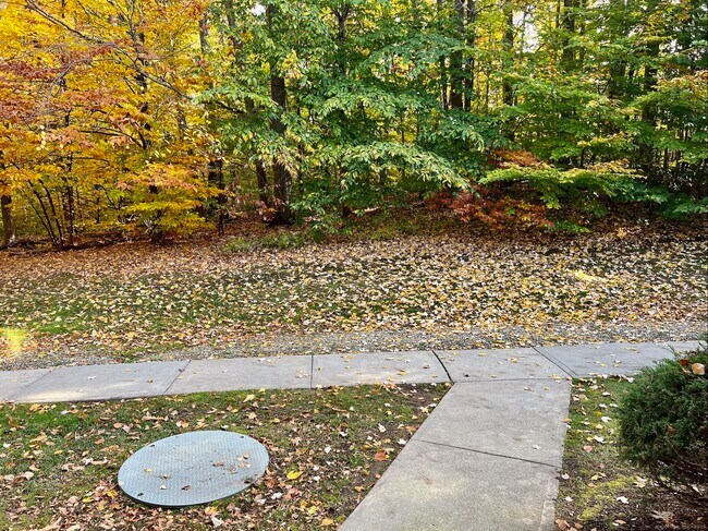 Foto del edificio - 308 Conestoga Way