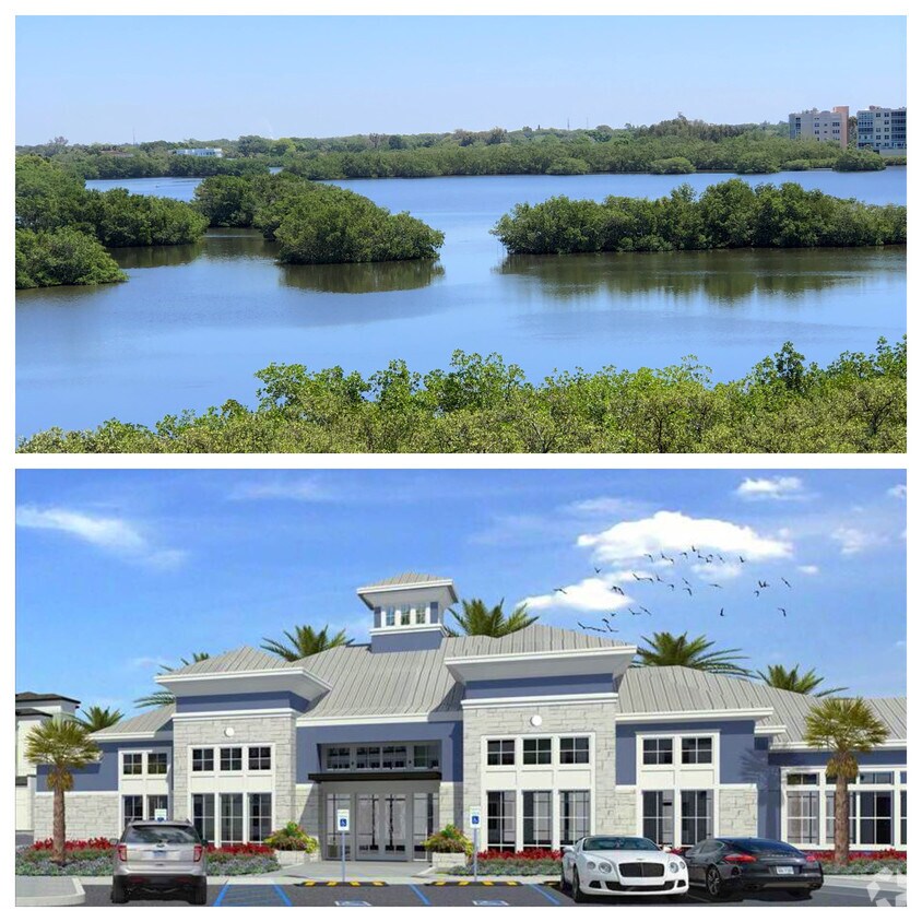 Apartments for Rent in Seminole FL