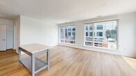 This single-floor unit at 916 West St in Charlottesville, VA presents a clean, contemporary design with an open-concept layout and quality finishes throughout. The combined kitchen and living area serves as the heart of the space, featuring light hardwood-style flooring that extends seamlessly across the room. Large windows line the living area, framing views of the surrounding Charlottesville streetscape and flooding the interior with natural light. A glass door provides access to a private balcony, further enhancing the connection to the outdoors.

The kitchen is well-appointed with gray cabinetry, granite countertops, a white subway tile backsplash, stainless steel appliances including a range, microwave, dishwasher, and refrigerator, and track lighting overhead. A kitchen island with a granite top adds additional workspace and storage.

The bedrooms feature plush carpeting, ceiling fans, and generously sized windows that invite natural light and offer urban views. Closet space is included for practical storage.

The bathrooms are finished with wood-look tile flooring, gray vanity cabinetry with granite countertops, large mirrors, and a tub-shower combination, reflecting the same modern aesthetic carried throughout the unit.
