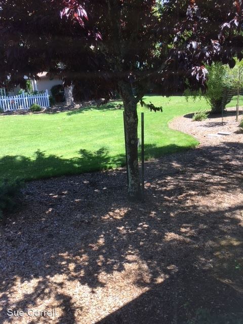 Building Photo - 2 br, 2 bath House - 6537 Meadowridge Drive