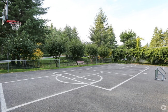 Sport court - Harbor Pointe Apartments
