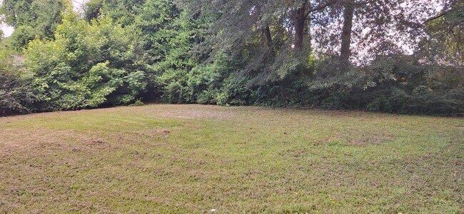 Foto del edificio - Very Nice Newly Renovated Home in Whitehav...