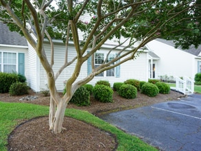 Building Photo - 4604 Song Sparrow Ct