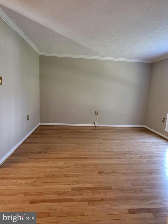 Building Photo - 805 Cattail Ln NE