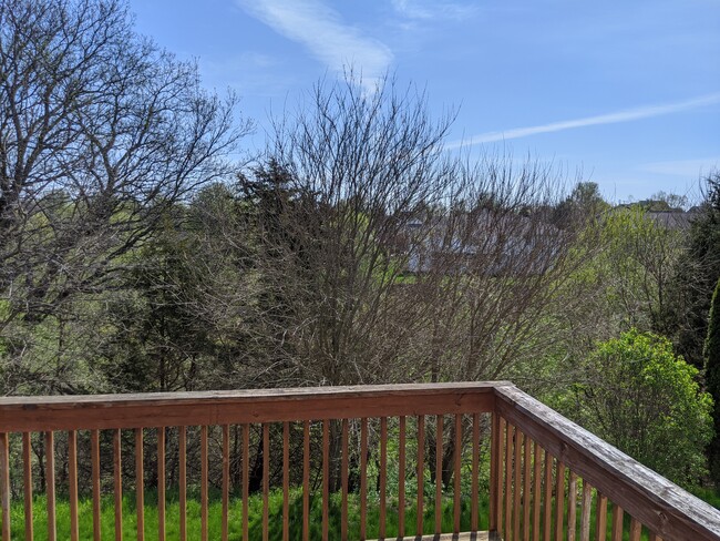 View off of back deck - 2312 Burr Oak Dr