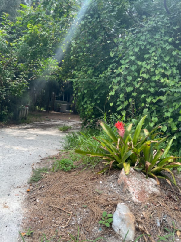 Foto del edificio - 1516 Carmel Ave