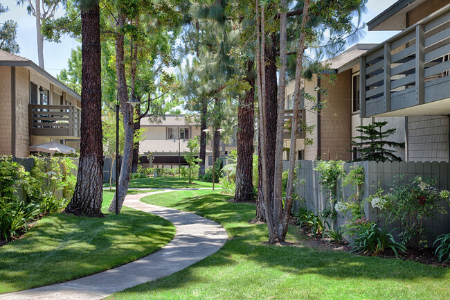 Foto del edificio - Timbers Apartments, El Toro