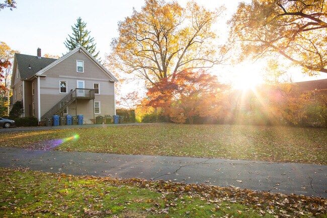 Back yard - 1 acre - 215 Highland St