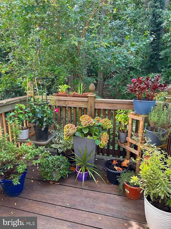 Building Photo - 6035 Crown Royal Cir