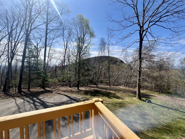 Building Photo - 416 Banks Mountain Dr