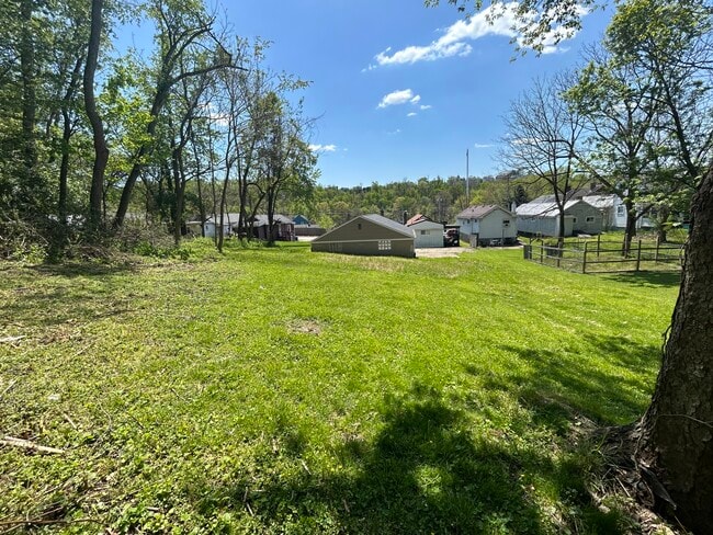 Back yard - 258 Cedar St