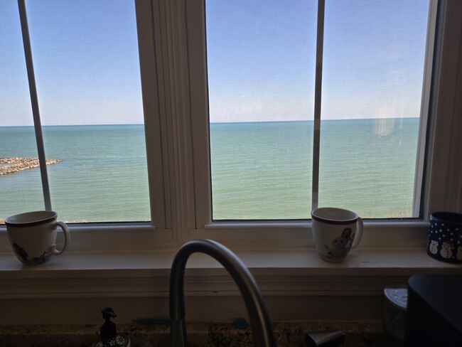 Lake Michigan View from Kitchen - 3872 S Lake Dr