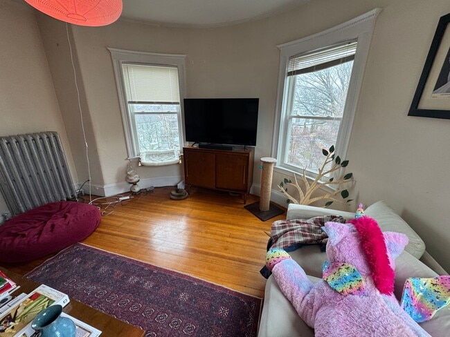 Photo - 51 Ibbetson St Apartment