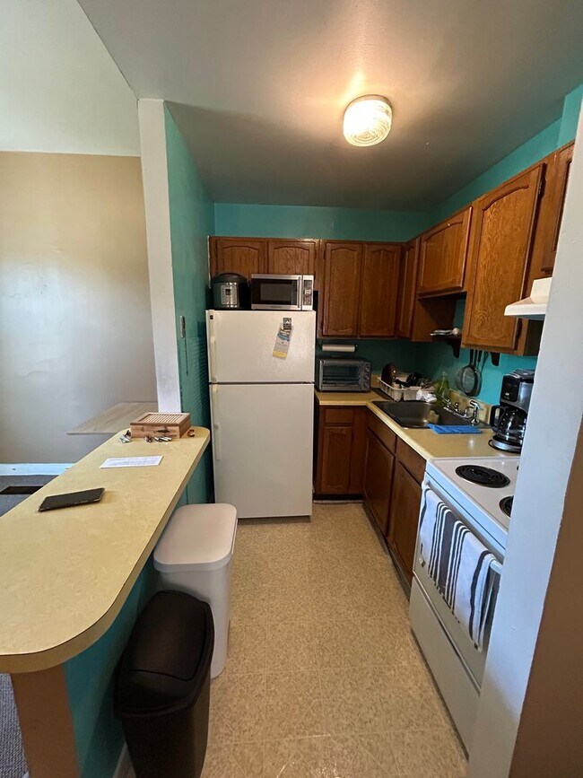 Foto del edificio - Adorable 1 bdrm/1ba Apartment Located in Richmond's Fan District!