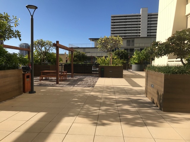 Recreational area - 1717 Mott-Smith Dr