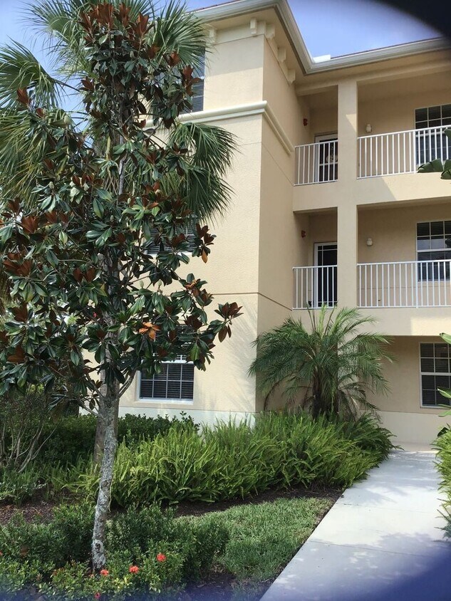 Palazzo Perfection - Palazzo Perfection