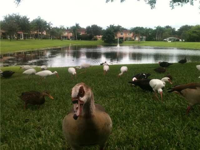 Foto del edificio - 9771  Kamena Circle