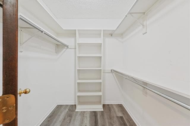 Building Photo - 1613 Bozman Rd