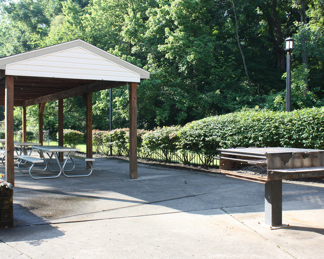 Grill & Picnic Area - Timber Ridge Apartments