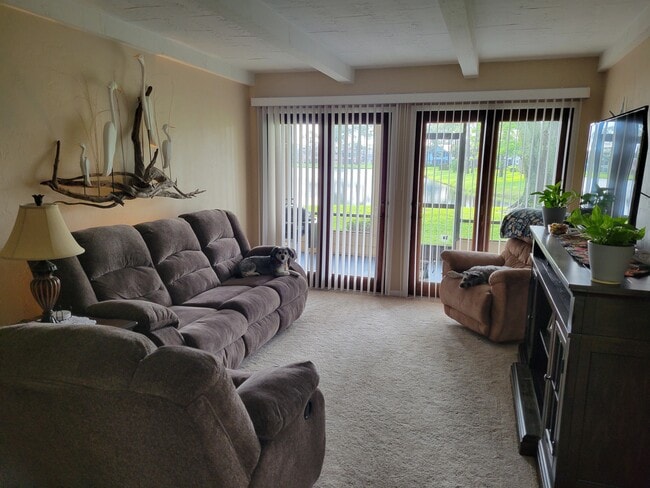 Living Area - 113 Golden Eye Dr