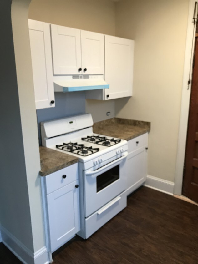 Newly Remodled Large Studio Apartment for Rent in Berwyn, IL