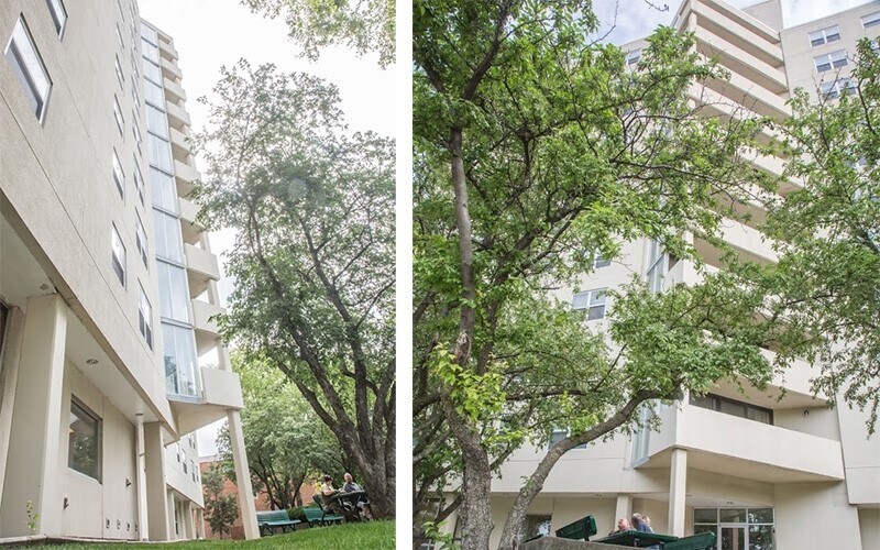 Primary Photo - 404 St Louis Ave