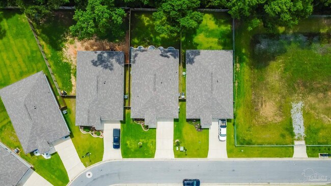Building Photo - 975 Lovebird Ct