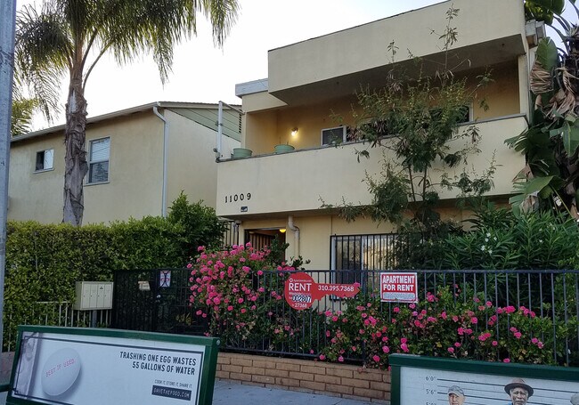 Front outside, gated. - 11009 Venice Blvd