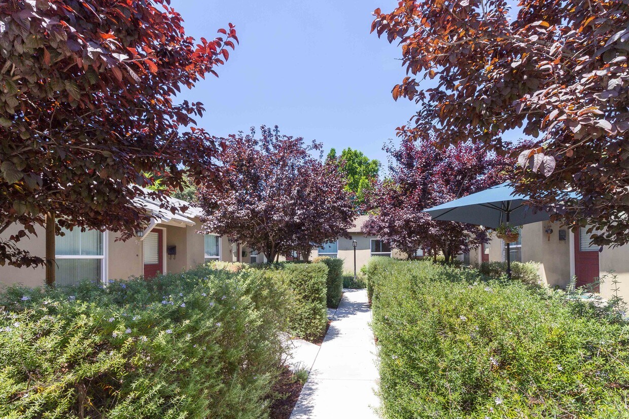 Primary Photo - 87 El Nido Ave