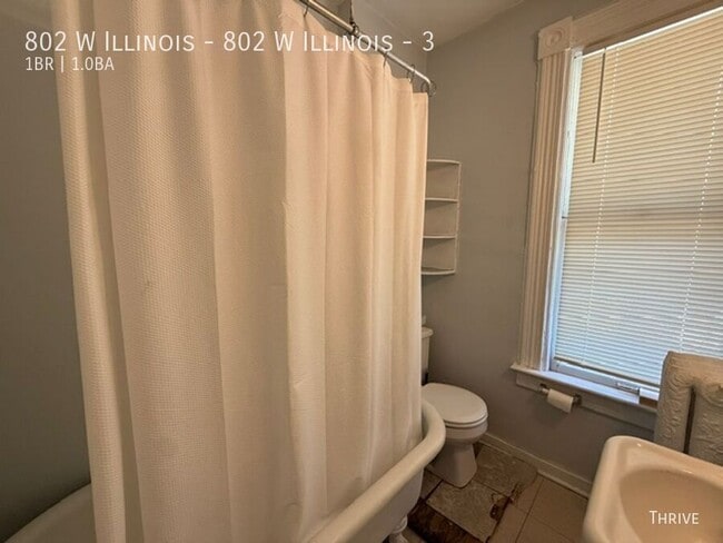 Foto del edificio - 802 W Illinois St