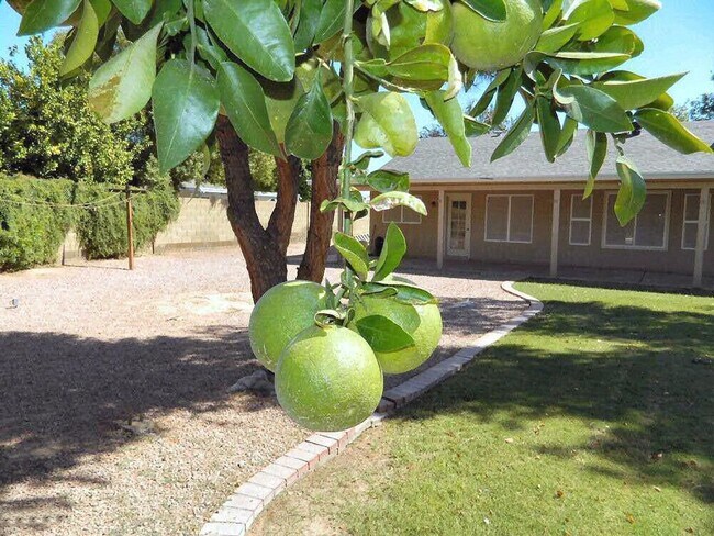 Building Photo - Nice Chandler Home