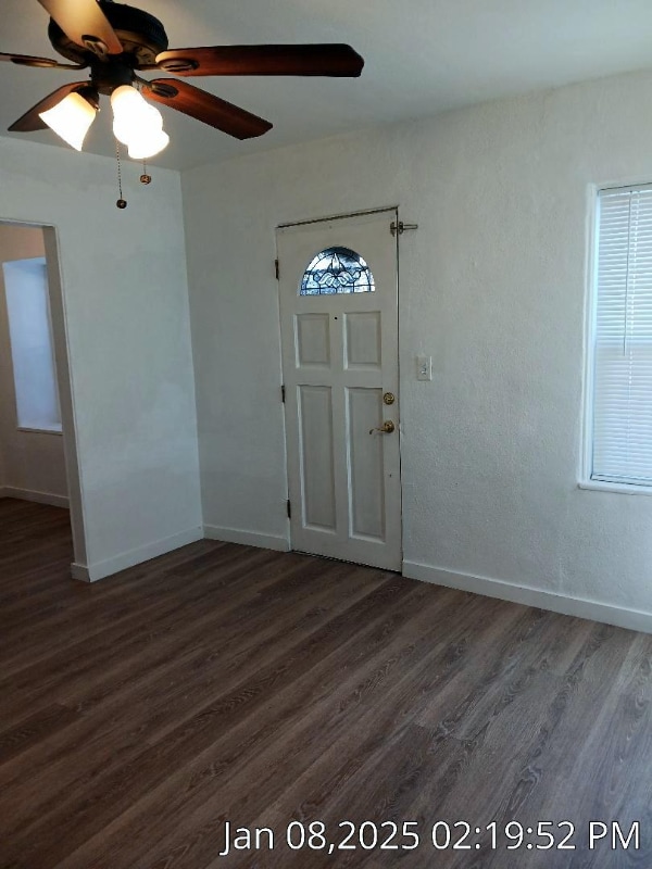 Building Photo - 800 Paradise Dr