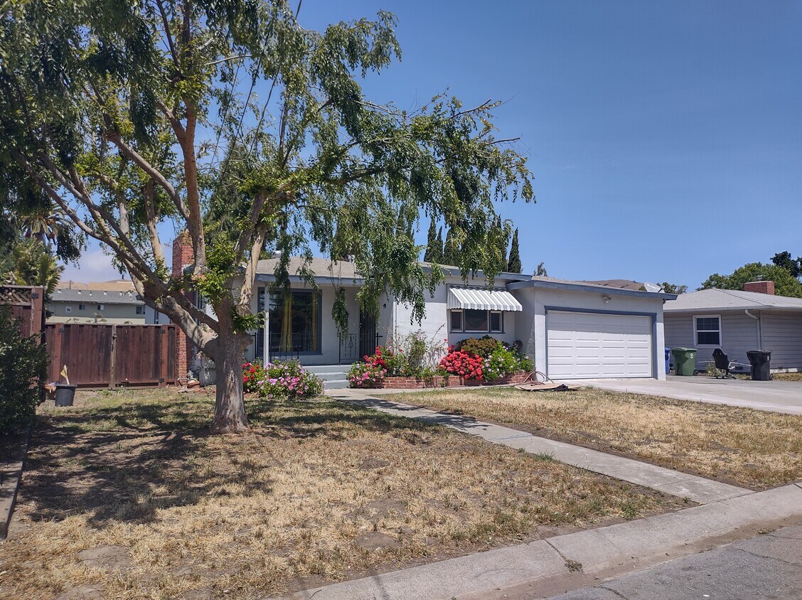 Primary Photo - 145 Orchard Dr