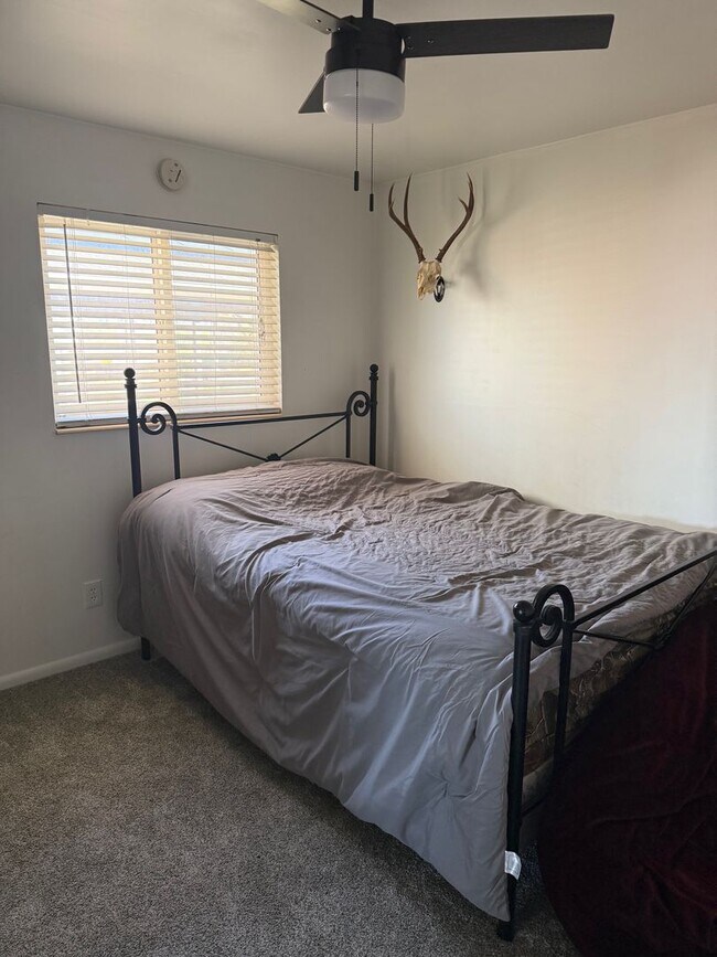 Foto del edificio - Beautifully updated duplex with parking and a storage shed