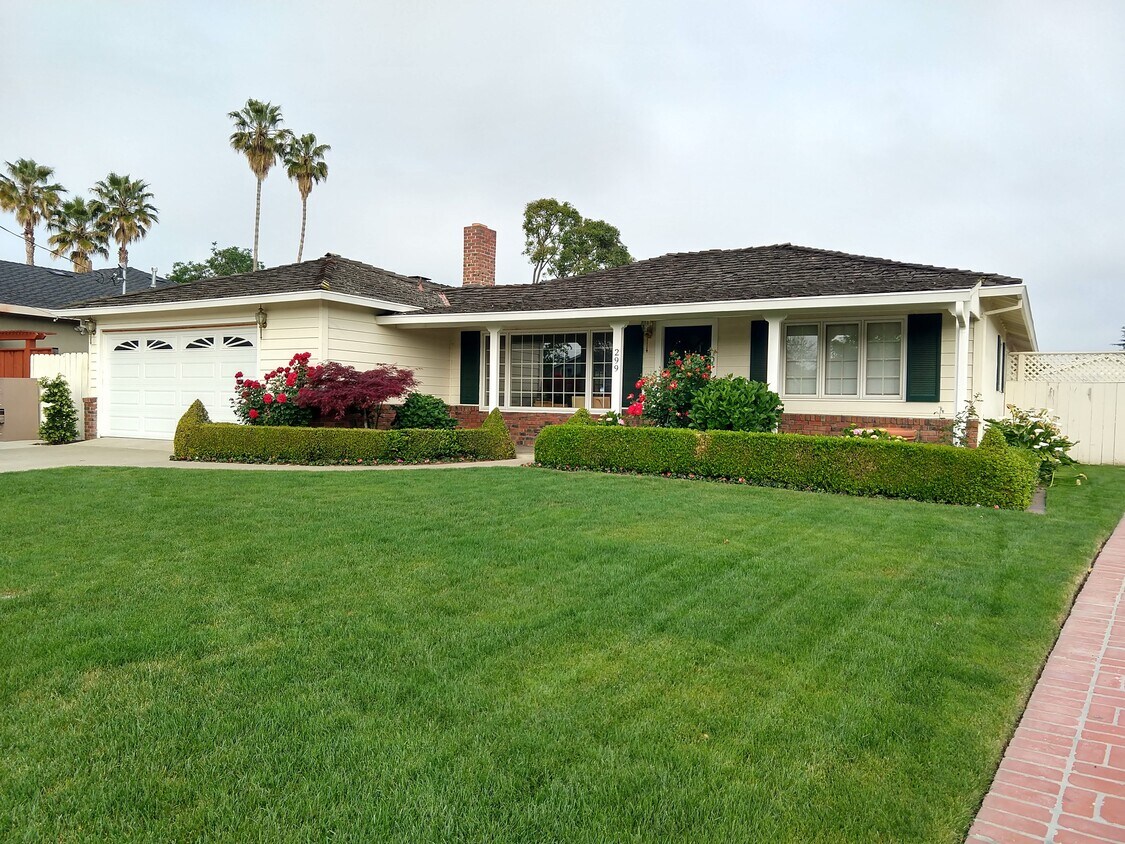 Primary Photo - 299 Dallas Dr