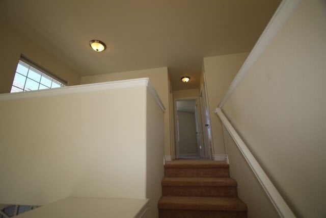 Building Photo - 3 Bedroom East Anchorage Condo!