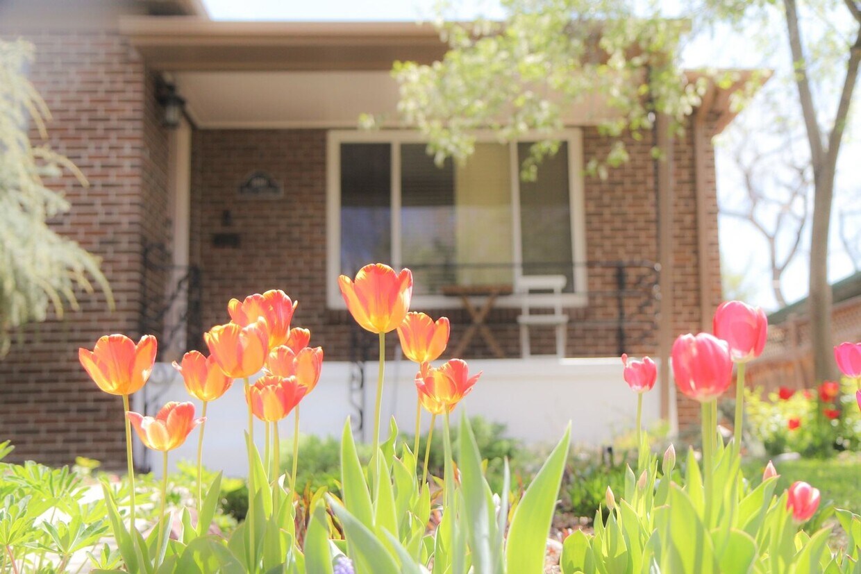 Primary Photo - 5 Bed 3 Bath | Denver Cheery Creek | Mid-c...