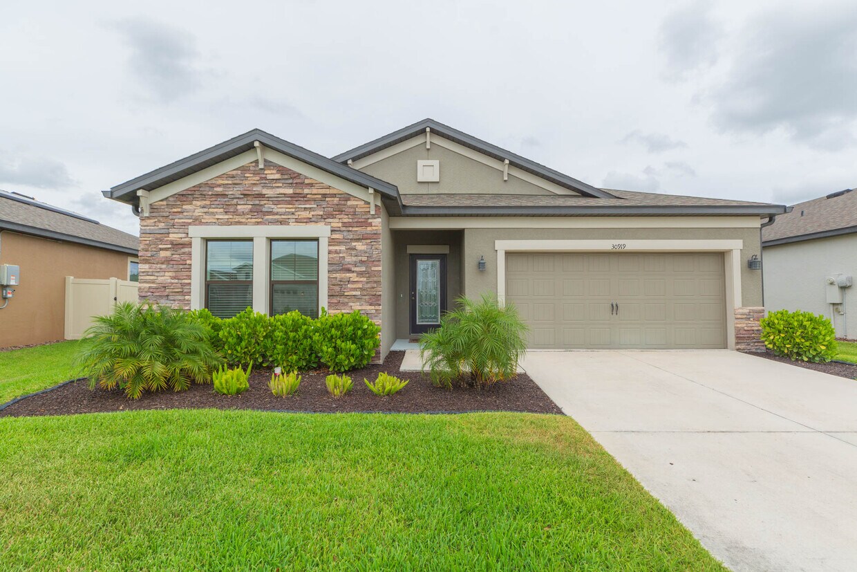 30919 Parrot Reef Ct, Wesley Chapel, FL 33545 House Rental in Wesley