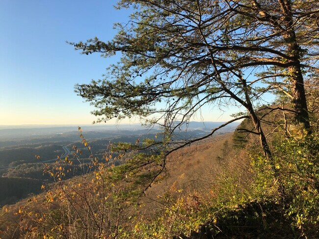 Building Photo - 3511 E Brow Rd