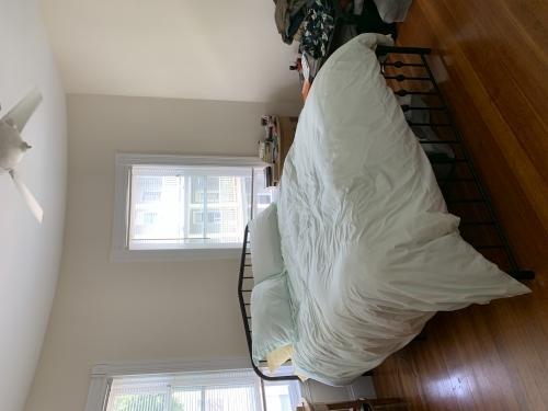 Foto principal - 4 bedroom in Somerville MA
