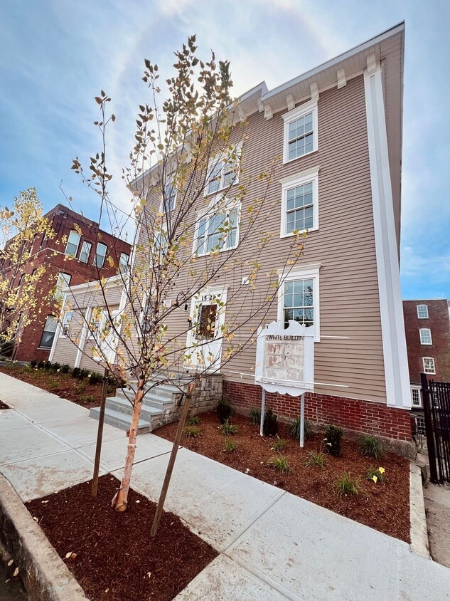 Primary Photo - The Reeds