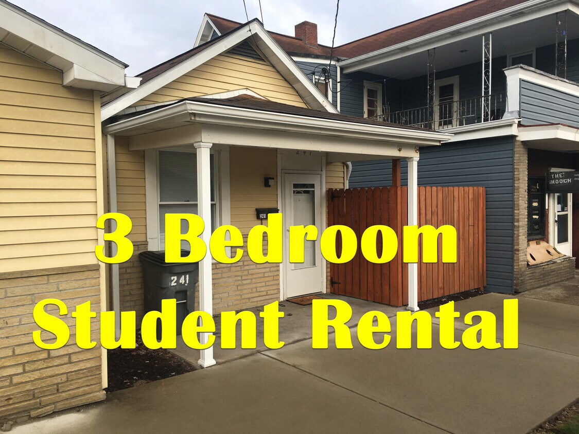 241 Union St, California, PA 15419 Apartments in California, PA