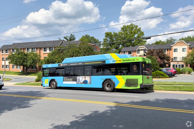 The Montgomery County Bus line offers public transportation throughout Potomac.