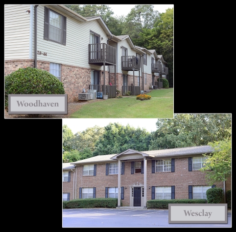Foto del edificio - The Silvertree Apartments