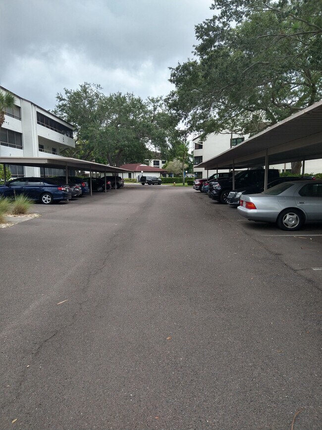 2585 Countryside Blvd Unit 307, Clearwater, FL 33761 Condo for Rent in Clearwater, FL