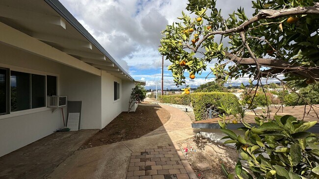 Foto del edificio - Remodeled 3 bd in Vista with large garage