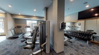 Located at 100 N Addison Ave in Elmhurst, Illinois, this modern fitness center is thoughtfully designed to support a comprehensive workout experience. The space is finished with stylish patterned carpet tiles, recessed lighting, and a neutral gray and warm wood color palette that creates a clean, professional atmosphere throughout.

The main workout area is generously proportioned and lined with large floor-to-ceiling mirrors framed in warm wood trim, which amplify natural light and enhance the sense of space. Windows along multiple walls offer views of an outdoor pool area, flooding the interior with natural light. This section houses a full lineup of cardio equipment, including treadmills, elliptical trainers, and rowing machines, predominantly from TechnoGym.

A dedicated strength training zone features a rack of free weights, a multi-functional cable machine, and a power rack with weight plates, catering to a wide range of training needs. A water station and open storage shelving provide added convenience.

A separate functional training room, accessible through a wide doorway, offers a more specialized workout environment. It features light wood flooring, wall-mounted resistance bands, a full set of medicine balls on organized racks, and additional mirrors — making it ideal for dynamic and functional movement training.

The overall design balances form and function, offering a well-organized, multi-zone fitness facility suited for diverse training routines.