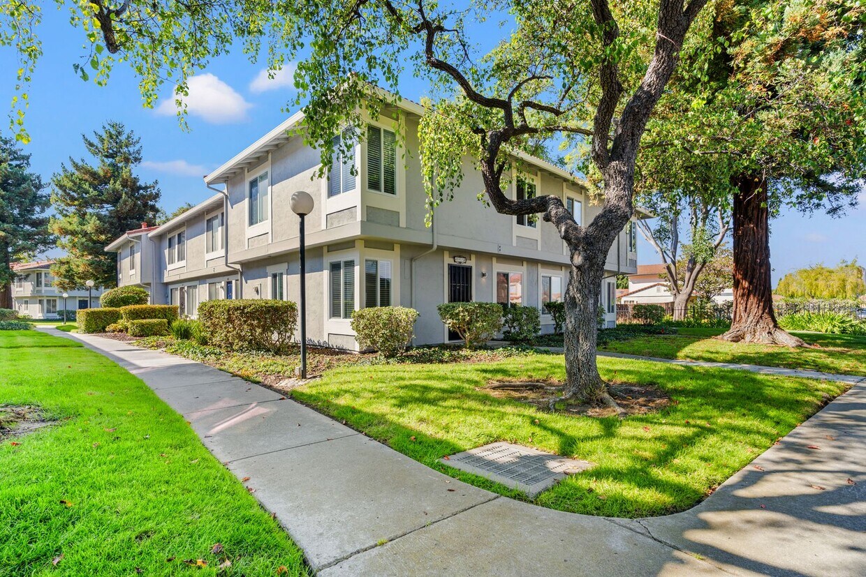 Brand-New, Fully Renovated 3 Bd / 1.5 Bth ... - Brand-New, Fully Renovated 3 Bd / 1.5 Bth ...