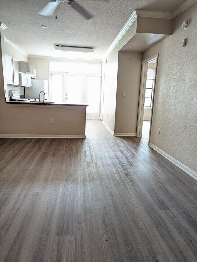 911 N Orange Ave, Orlando, FL 32801 Condo for Rent in Orlando, FL