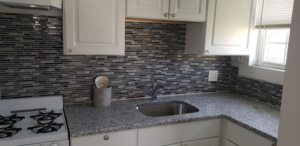 Remodel kitchen with granite countertops and Moen faucets - 1932 Magellan Ave